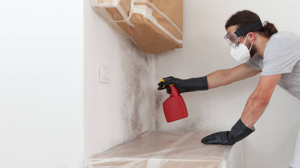Professional Mold Inspection And Testing technician working in Closter, NJ