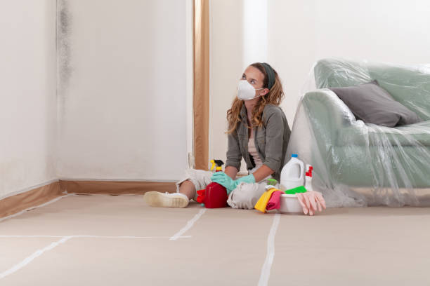 Reliable Mold Inspection And Testing contractor in Closter, NJ by Car Mold Remediation